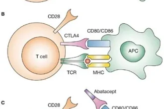 The First 5 Signs Occurred In Abatacept