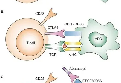 The first 5 signs occurred in Abatacept