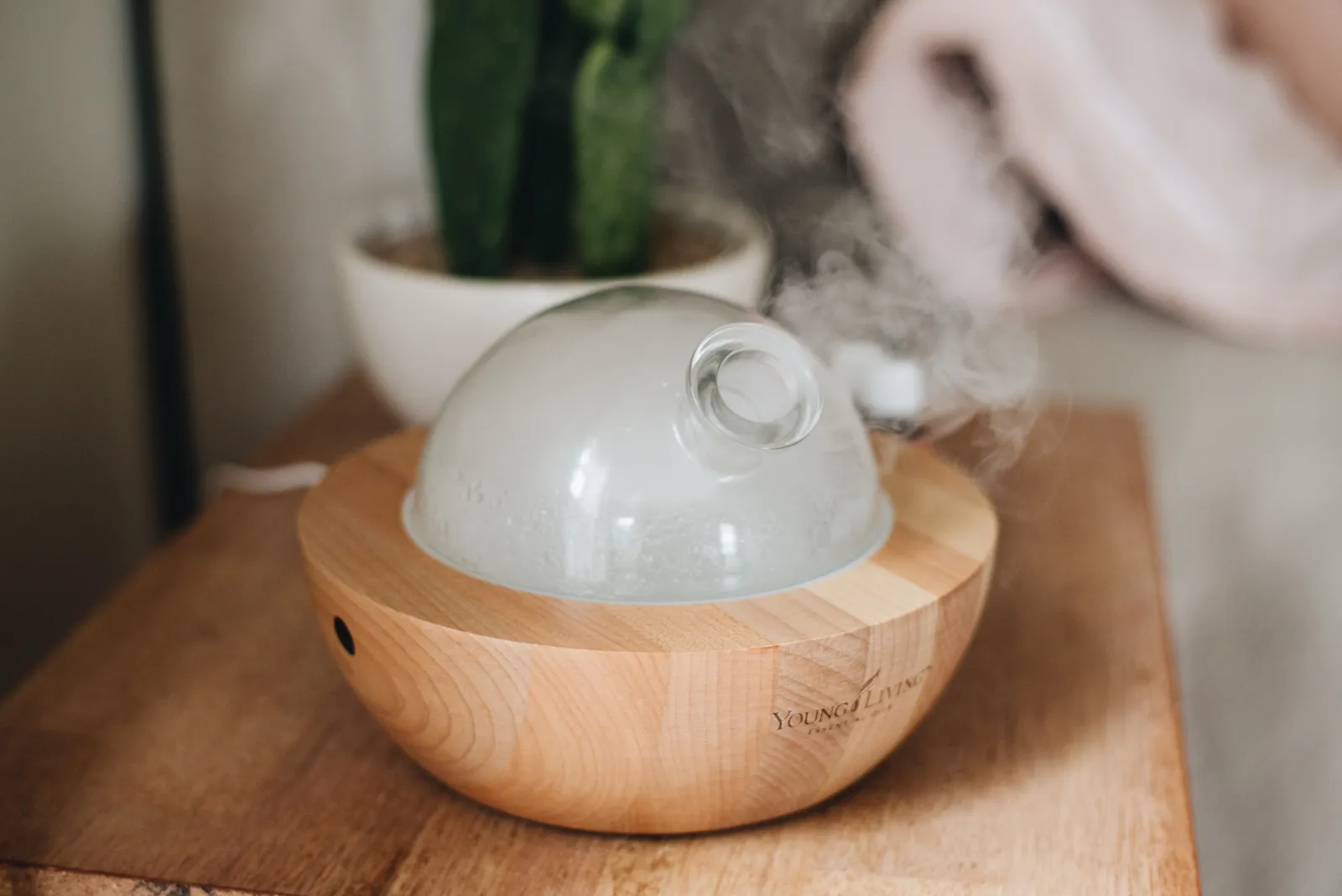 100% Mystery Secret of Deep Sleep Diffuser Blend Young LivingReviewed by Kevin Turner - Health Clarity Reviewer 100% Mystery Secret of Deep Sleep Diffuser Blend Young LivingReviewed by Kevin Turner - Health Clarity Reviewer