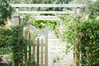 3 Devices Home Vegetable Gardeners Can’t Live With