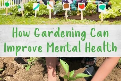 Consider Up Gardening for Improved Wellness