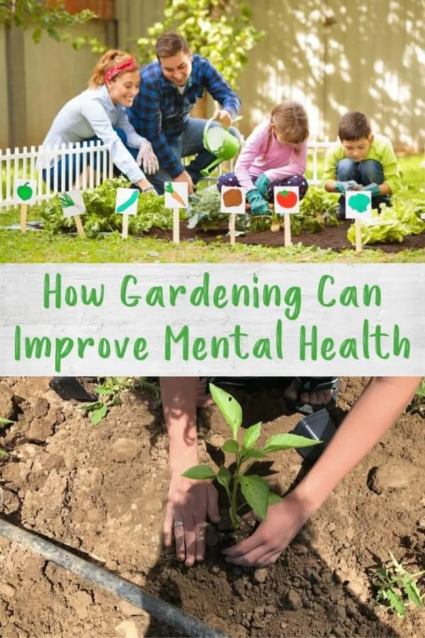 Consider Up Gardening for Improved WellnessReviewed by Logan Fisher - Home Gardening Reviewer