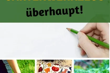 Crucial Home Gardening Products You Ought to Have
