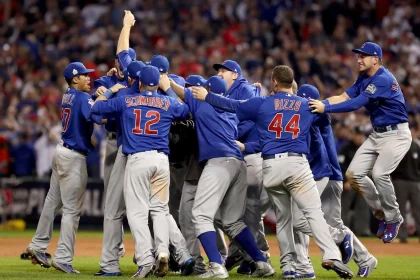 Go To A Cubs Game