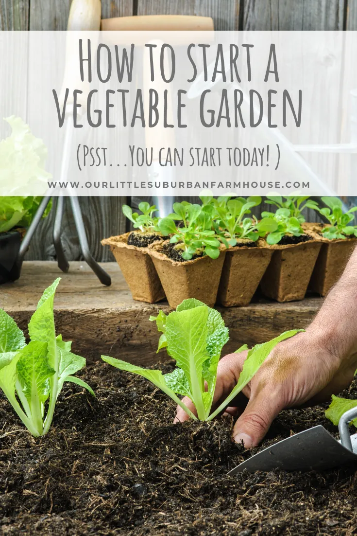 How to Start out Your Individual Home GardeningReviewed by Hannah Price - Outdoor Basics Reviewer