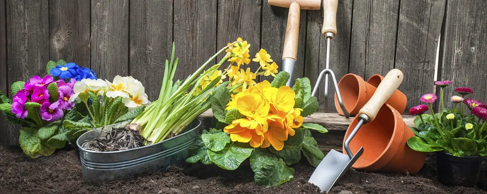 The Greatest Gardening Guidelines for Spring PreparingReviewed by Hannah Price - Outdoor Basics Reviewer The Greatest Gardening Guidelines for Spring PreparingReviewed by Hannah Price - Outdoor Basics Reviewer