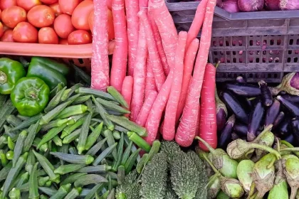 The Keys to Prosperous Vegetable Gardening in Alabama