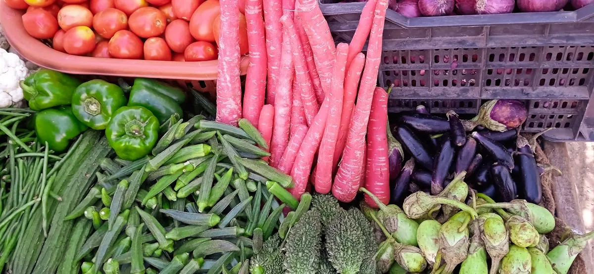 The Keys to Prosperous Vegetable Gardening in AlabamaReviewed by Logan Fisher - Home Gardening Reviewer The Keys to Prosperous Vegetable Gardening in AlabamaReviewed by Logan Fisher - Home Gardening Reviewer
