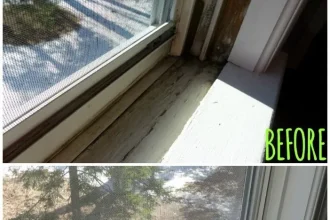 The Top Tutorial to Replacing Mobile Property Windows