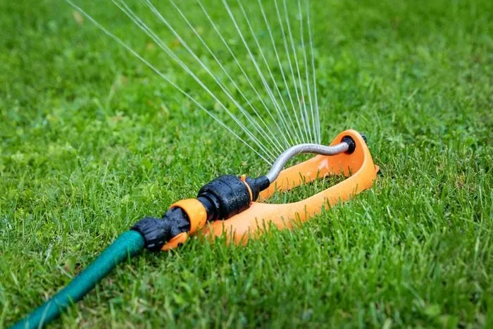 Water Your Garden Like A Pro: Tips And Tricks For A Lush Green LawnReviewed by Erin Wallace - Plant Care Editor Water Your Garden Like A Pro: Tips And Tricks For A Lush Green LawnReviewed by Erin Wallace - Plant Care Editor