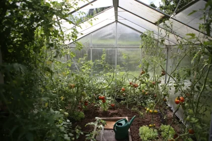 What Is Included in Gardening Companies?