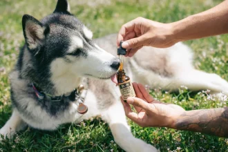 ASPCA Pet Health Insurance