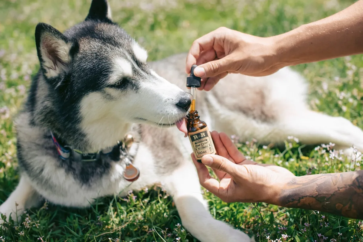 ASPCA Pet Health InsuranceReviewed by Dylan Parker - Business Research Editor ASPCA Pet Health InsuranceReviewed by Dylan Parker - Business Research Editor