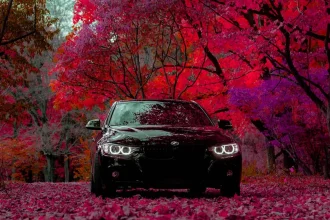 Best 10 Forms of Automobiles For 2009