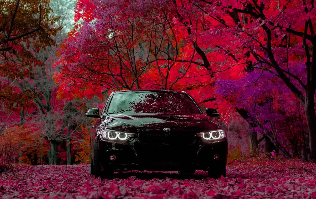 Best 10 Forms of Automobiles For 2009Reviewed by Lauren Pierce - AI Workflow Reviewer