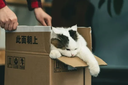Cat parents need this NASA-inspired litter box freshener