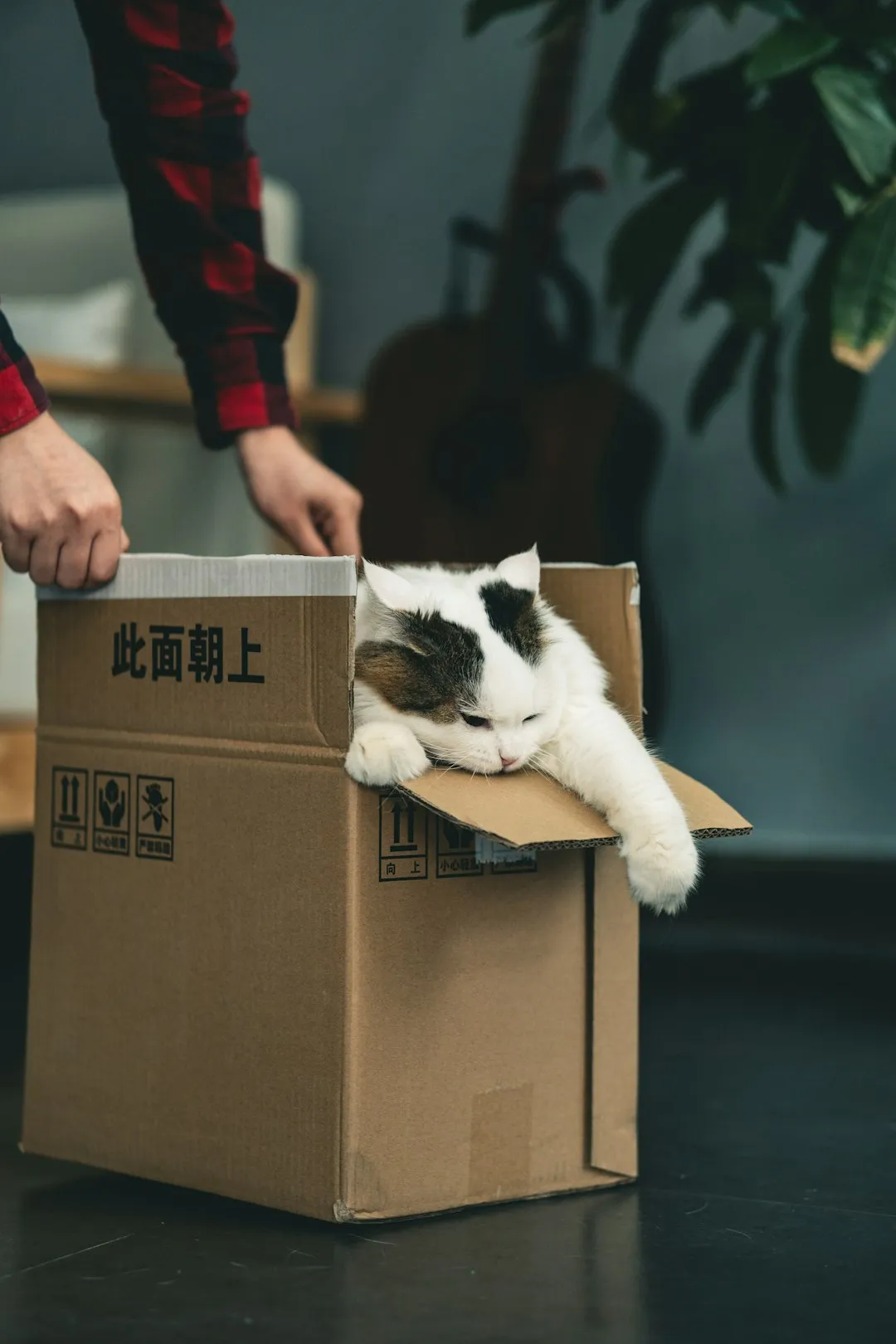 Cat parents need this NASA-inspired litter box freshenerReviewed by Sage Collins - Pet Basics Reviewer Cat parents need this NASA-inspired litter box freshenerReviewed by Sage Collins - Pet Basics Reviewer