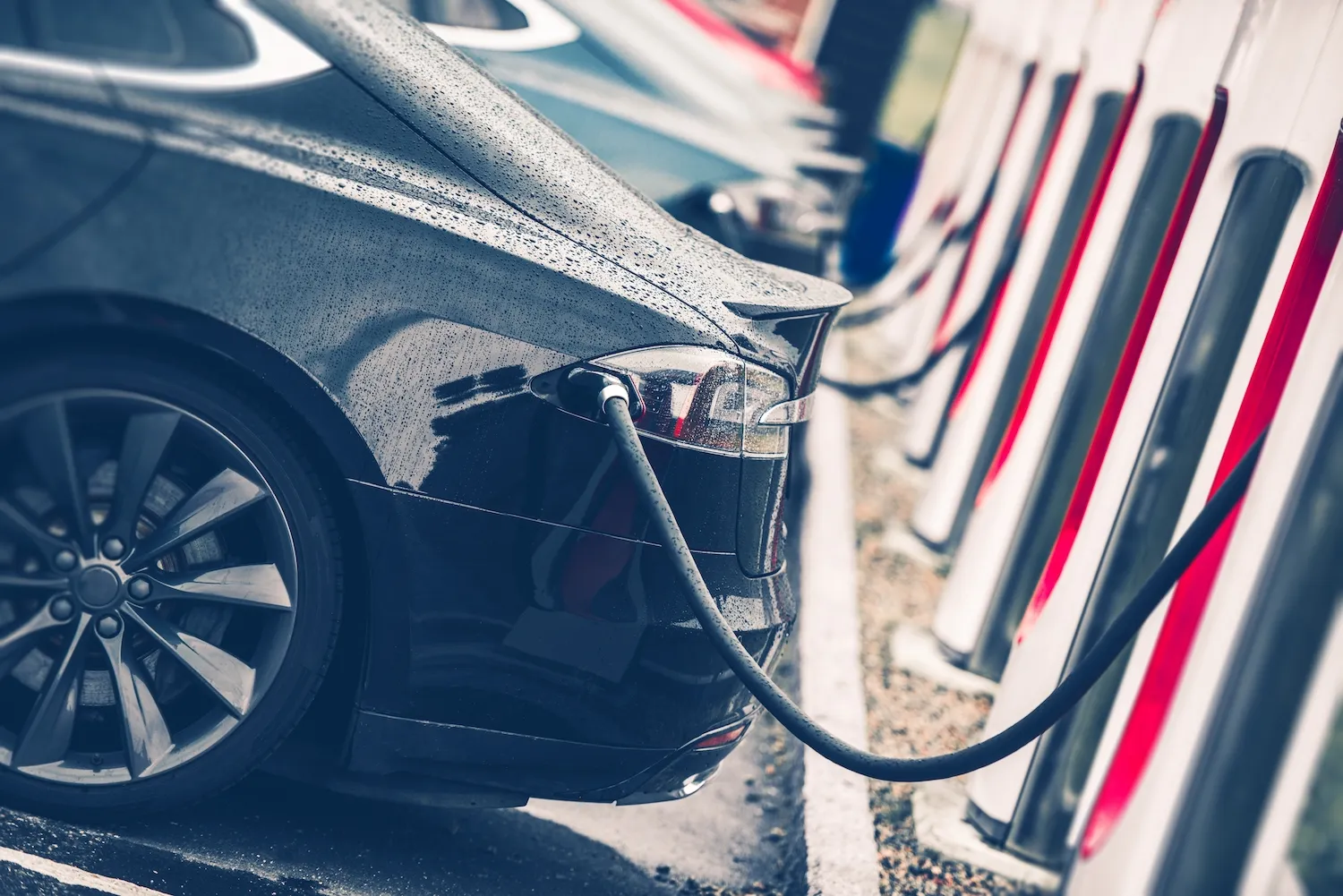 Electric Cars Rewards – ConsReviewed by Miles Carter - Practical AI Reviewer