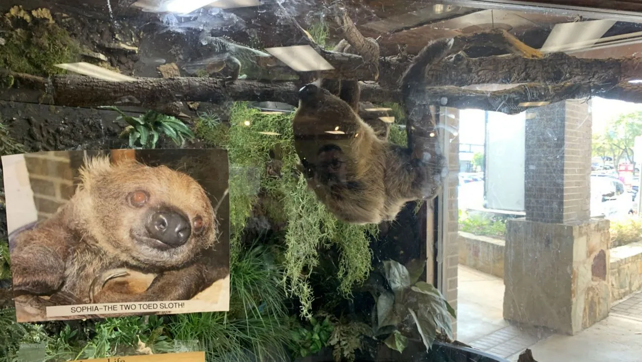 Exotic Pet Store AustinReviewed by Lily Hart - Pet Content Editor Exotic Pet Store AustinReviewed by Lily Hart - Pet Content Editor