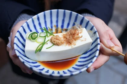 Home made Company TOFU!! SO Simple!!