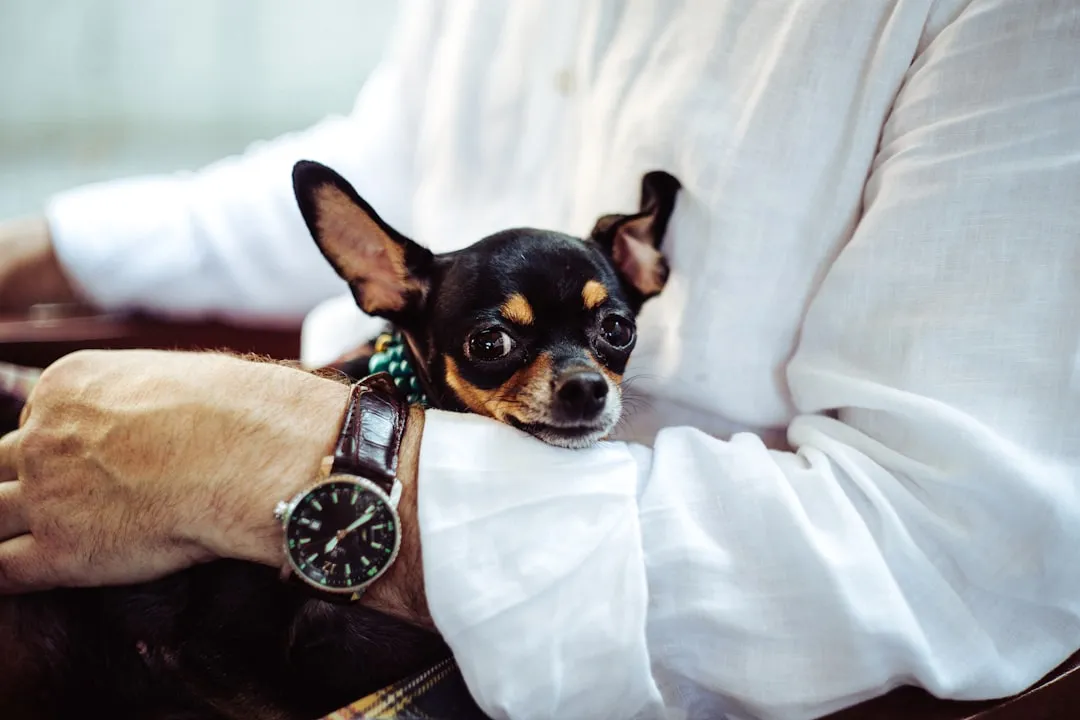 How Can I Help Save My Pet?Reviewed by Noah Kim - Pet Care Reviewer