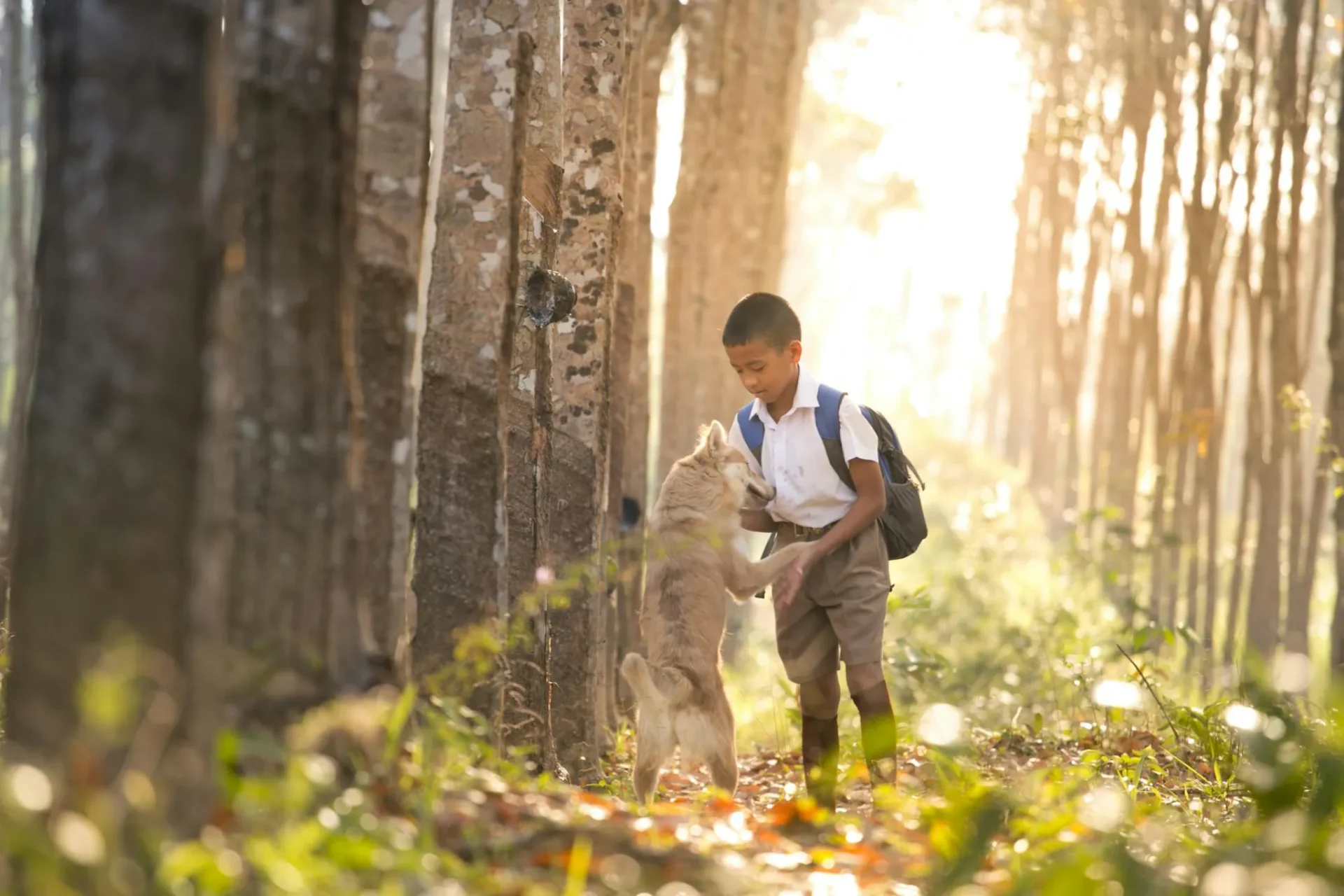 How School Kids Save Neighbors’ Dogs From House Fire While Owners Were AwayReviewed by Jordan Hale - Pet Products Reviewer How School Kids Save Neighbors’ Dogs From House Fire While Owners Were AwayReviewed by Jordan Hale - Pet Products Reviewer