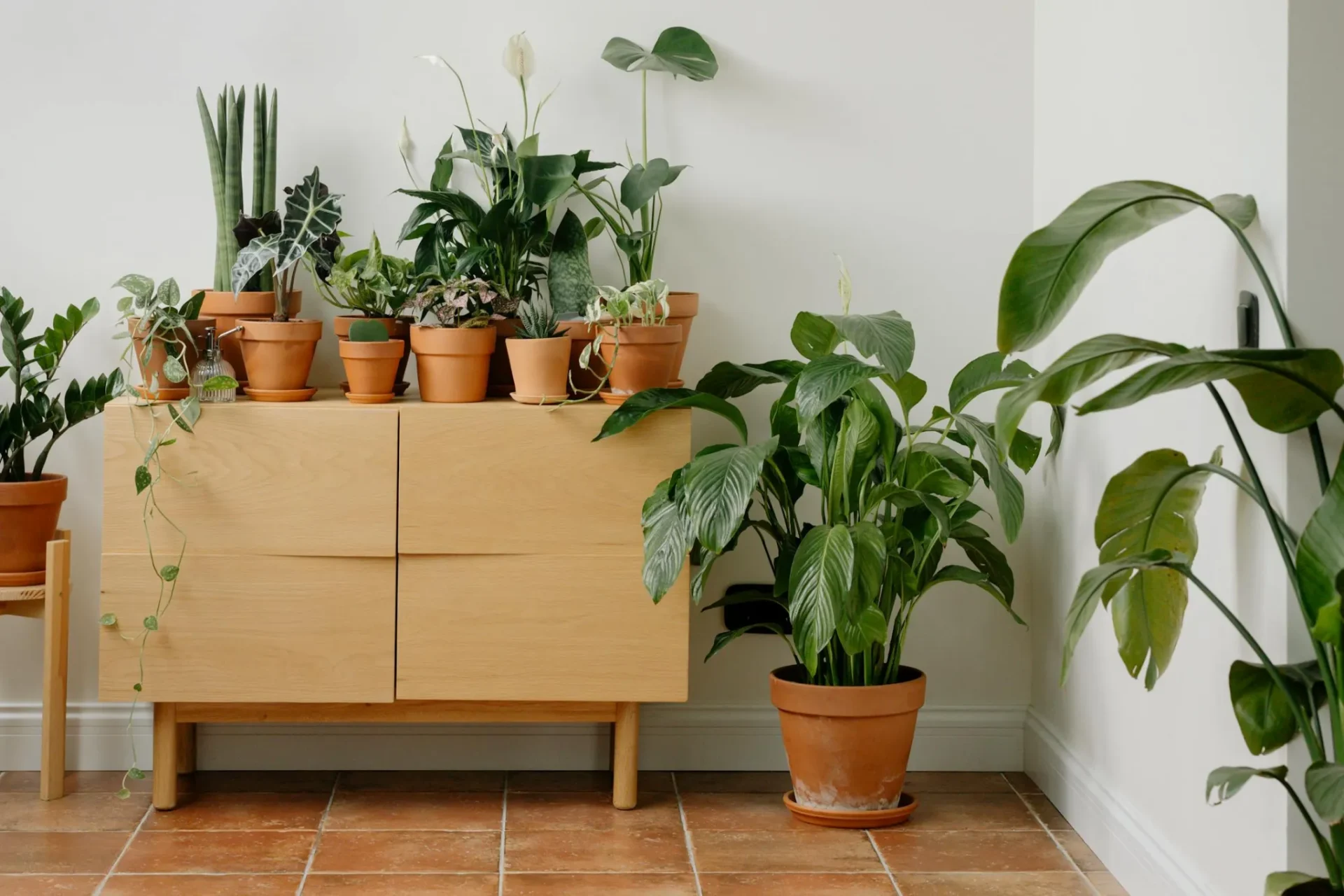 How to Make a Small Flower Garden Look spaciousReviewed by Hannah Price - Outdoor Basics Reviewer