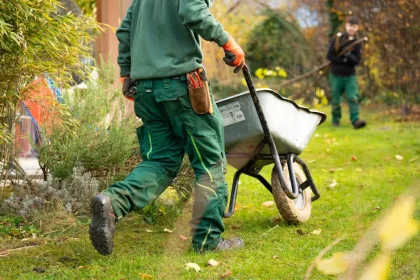 Landscaping Ideas For Privacy