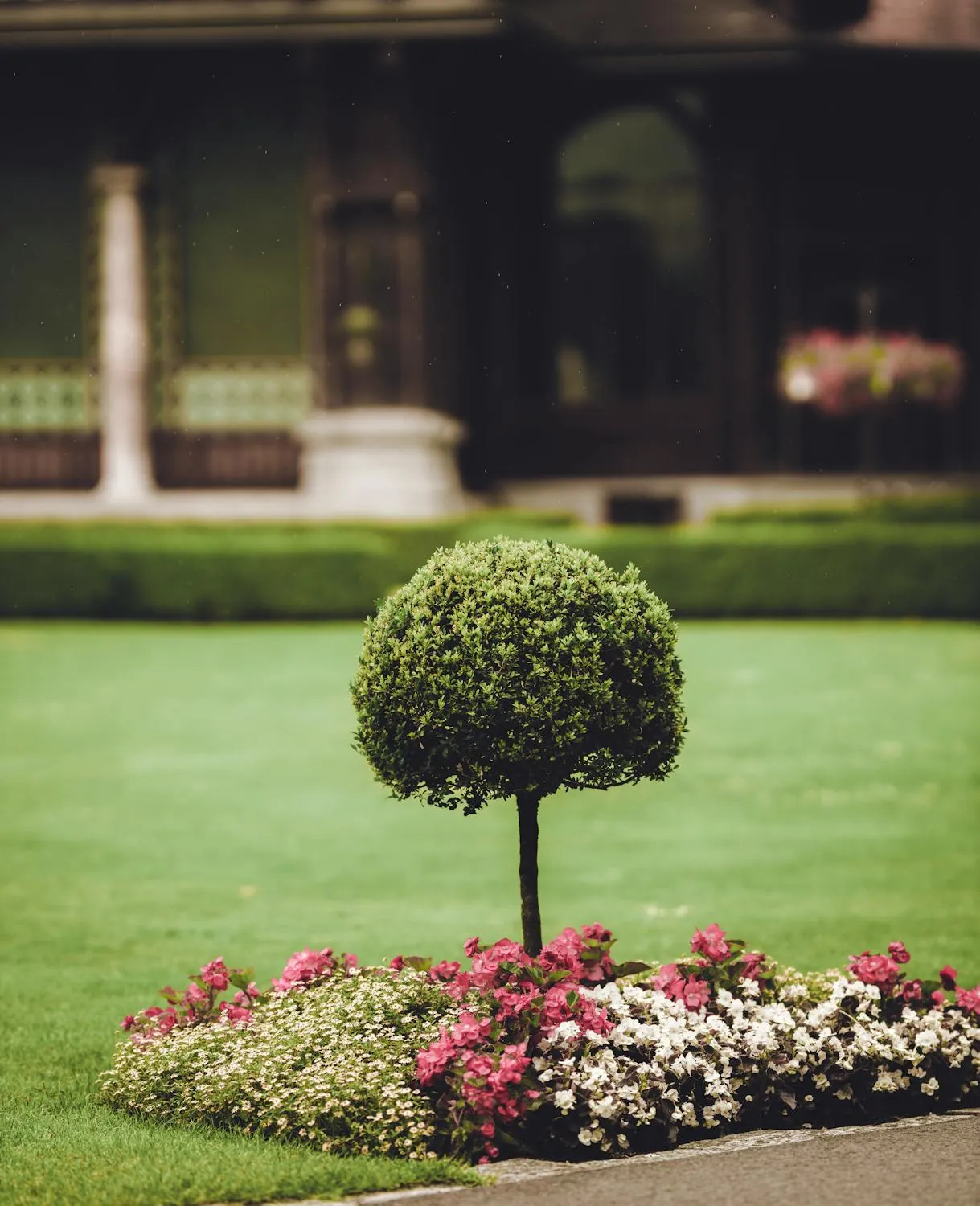 Modern Gardening IdeasReviewed by Logan Fisher - Home Gardening Reviewer Modern Gardening IdeasReviewed by Logan Fisher - Home Gardening Reviewer