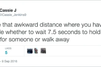 Non-Cat-Owning Twitter Users Share Their Most Ridiculously Funny ‘That’s Not My Cat’ Moments