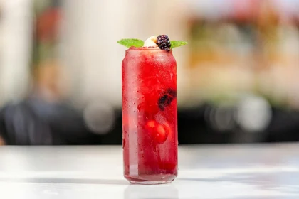 Pomegranate Summer Cocktails Recipe