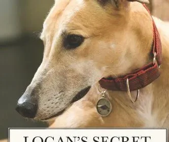 Retired Racing Greyhound Finds True Love, at Last!