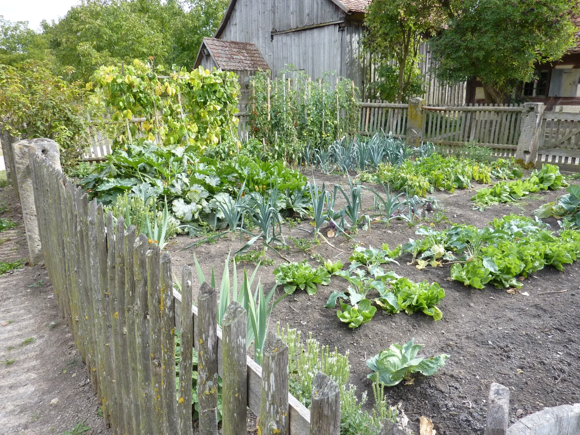 Setting Up a House Herb Backyard gardenReviewed by Logan Fisher - Home Gardening Reviewer Setting Up a House Herb Backyard gardenReviewed by Logan Fisher - Home Gardening Reviewer