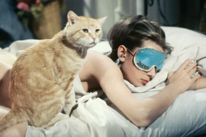This couple uses this trick to fall asleep within 3 minutes
