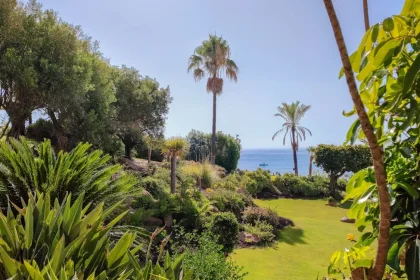 Unleashing the Wave: Minimalist Ocean Garden Design Trends