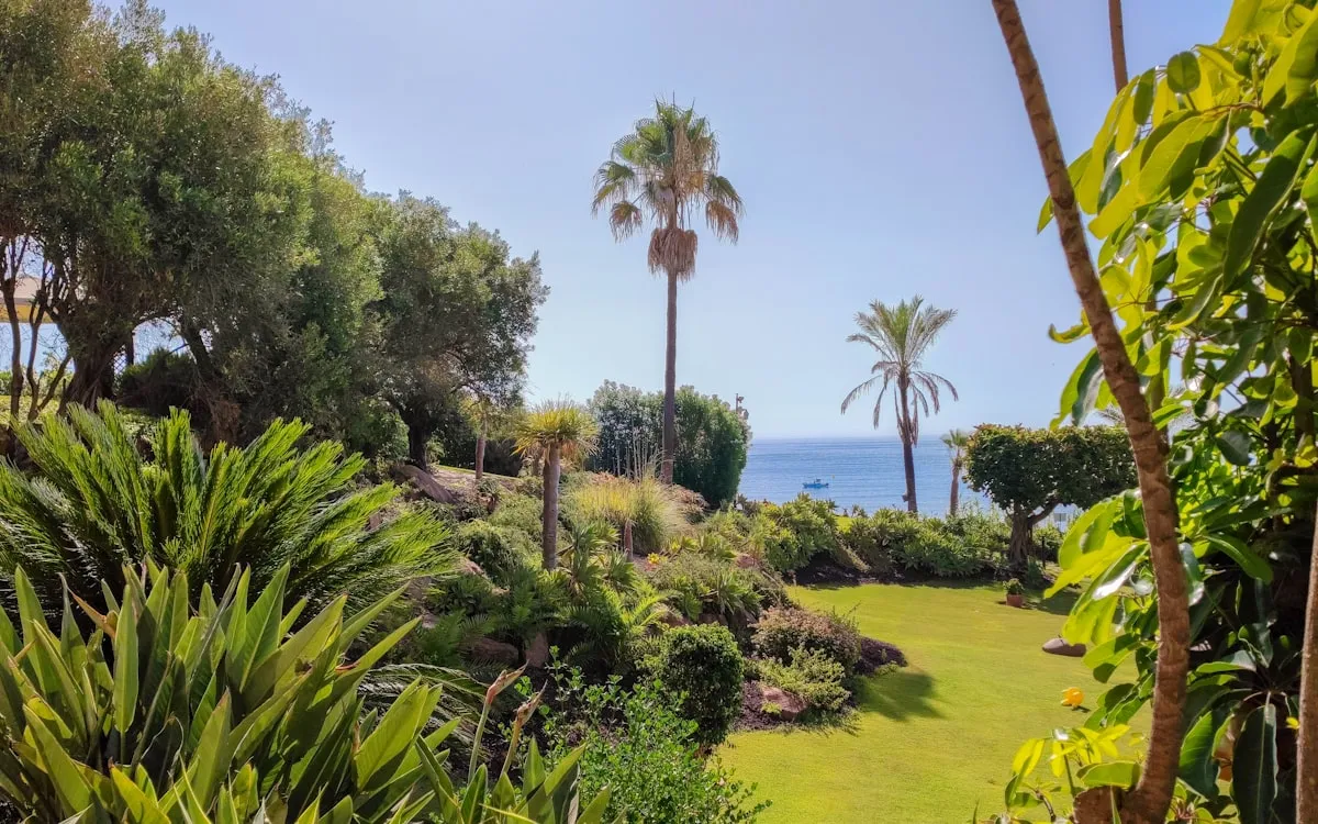 Unleashing the Wave: Minimalist Ocean Garden Design TrendsReviewed by Erin Wallace - Plant Care Editor