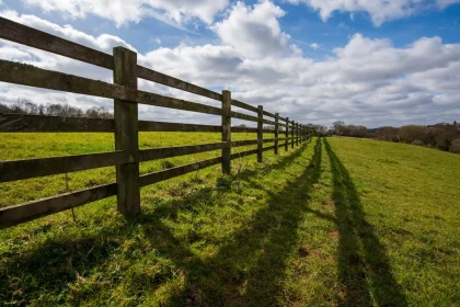 Unveiling the Magic: 10 Stunning Yet Economical Wooden Fence Ideas For Your Garden