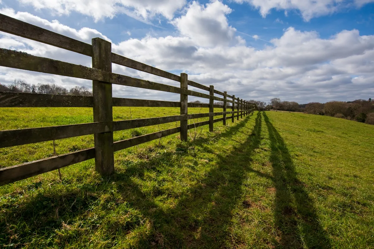 Unveiling the Magic: 10 Stunning Yet Economical Wooden Fence Ideas For Your GardenReviewed by Erin Wallace - Plant Care Editor
