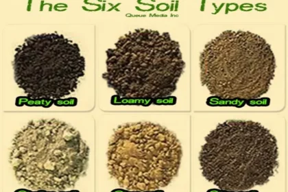 Various Soils and Characteristics Discussed For Your House Gardening