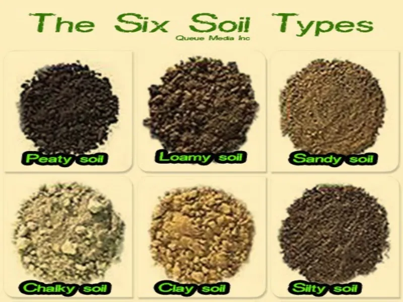 Various Soils and Characteristics Discussed For Your House GardeningReviewed by Hannah Price - Outdoor Basics Reviewer Various Soils and Characteristics Discussed For Your House GardeningReviewed by Hannah Price - Outdoor Basics Reviewer
