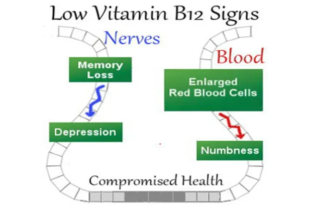 Vitamin B12 deficiency: Two signs in your cough that may be signalling low levels of B12