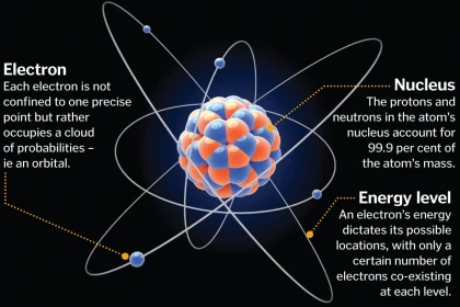 What Is Information Science All About?