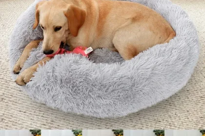 4 Rewards of Marshmallow Beds for Animals