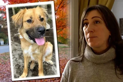 A Woman Nearly Killed Her Adopted Puppy While She Was Sleeping