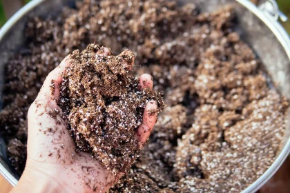 Best Seed Starting Mix Recipe (3 Ingredients)