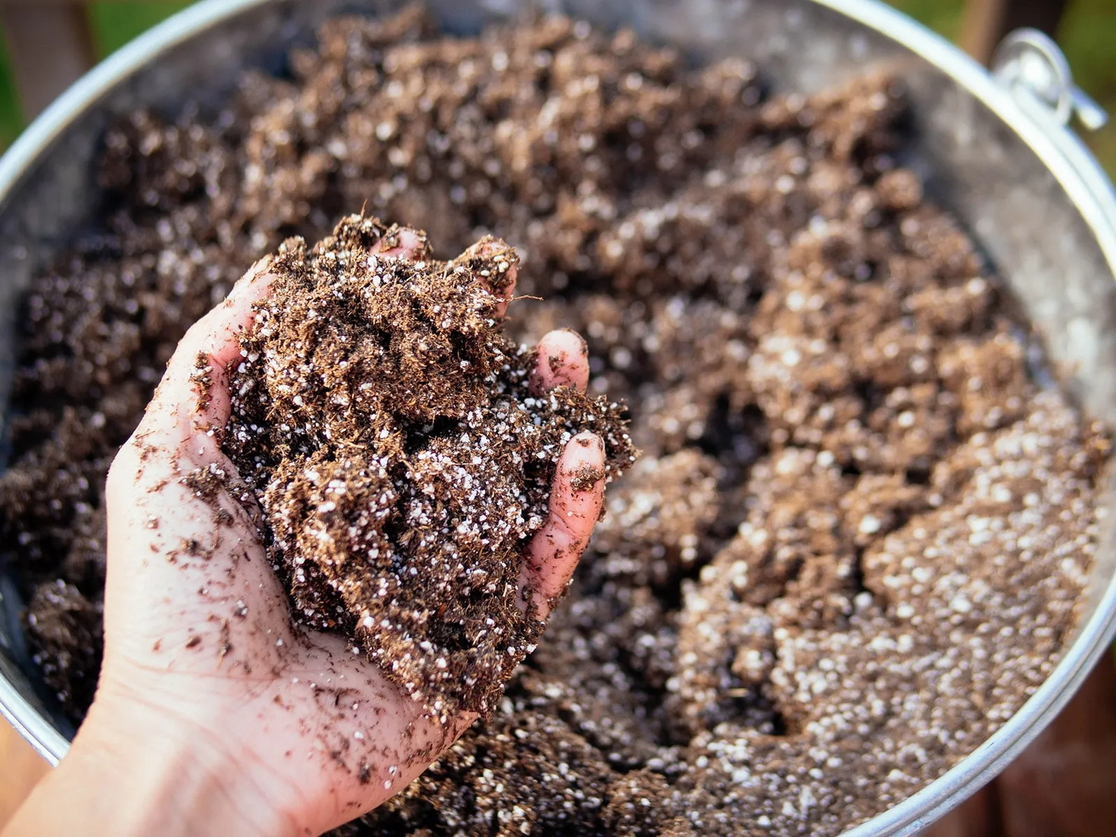 Best Seed Starting Mix Recipe (3 Ingredients)Reviewed by Erin Wallace - Plant Care Editor Best Seed Starting Mix Recipe (3 Ingredients)Reviewed by Erin Wallace - Plant Care Editor