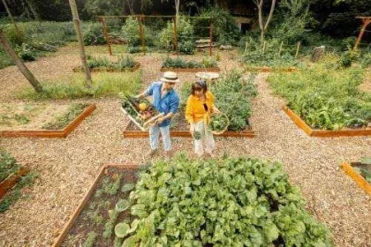 How 21 Tips make a beautiful house in garden at home?