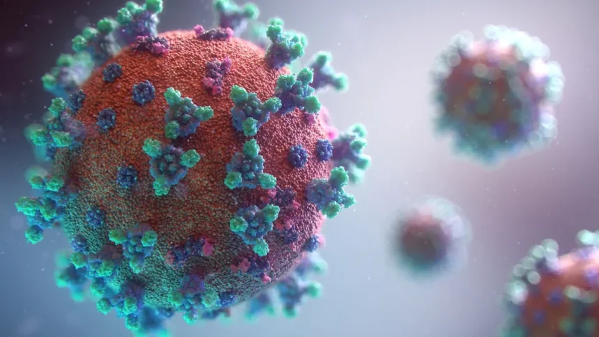 Impact Of the Coronavirus Pandemic On the Global Economy
