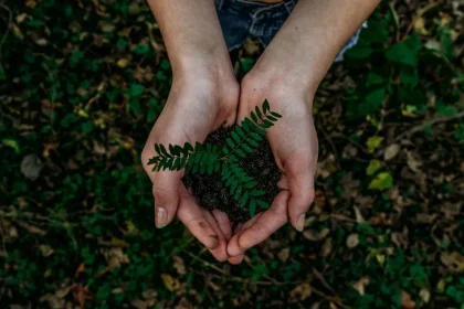 Natural and Organic Gardening: Tips and Techniques for a Chemical-Free Garden
