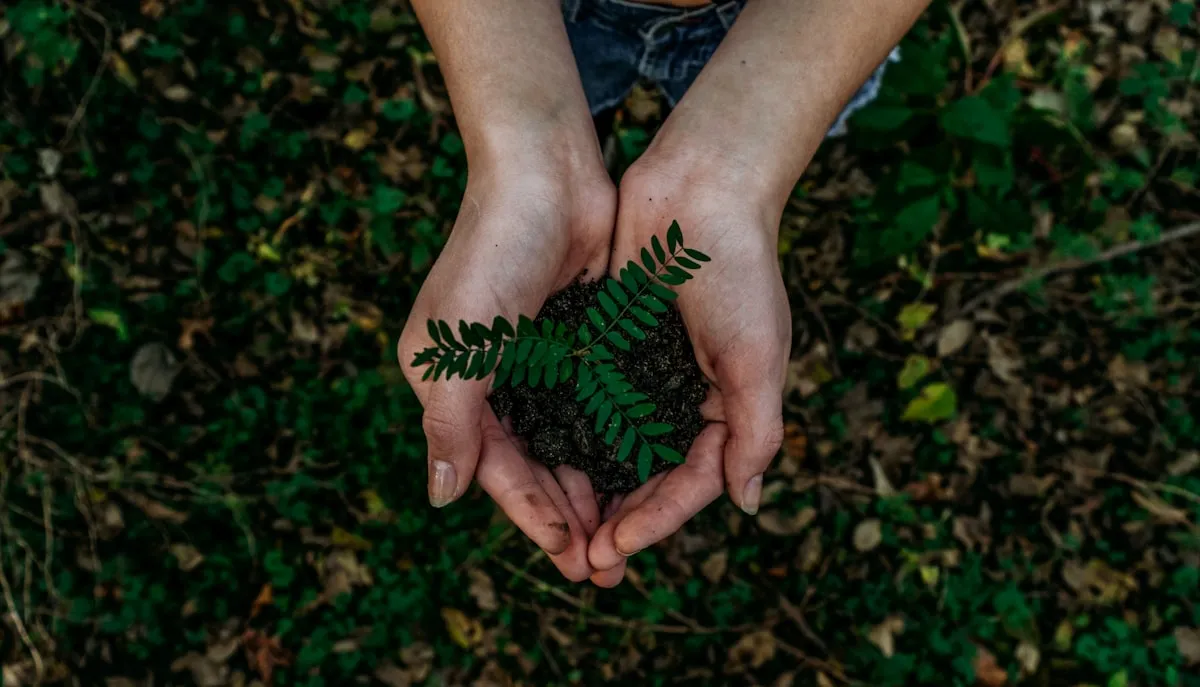 Natural and Organic Gardening: Tips and Techniques for a Chemical-Free GardenReviewed by Cole Ramirez - Soil and Pest Reviewer Natural and Organic Gardening: Tips and Techniques for a Chemical-Free GardenReviewed by Cole Ramirez - Soil and Pest Reviewer